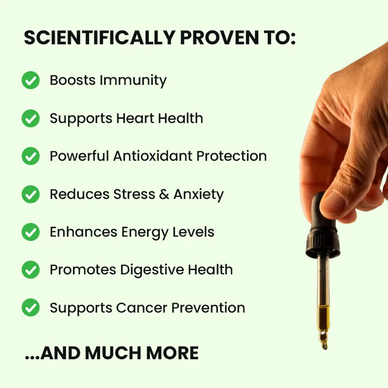 Revitalize Your Life with Nature’s Best Essence